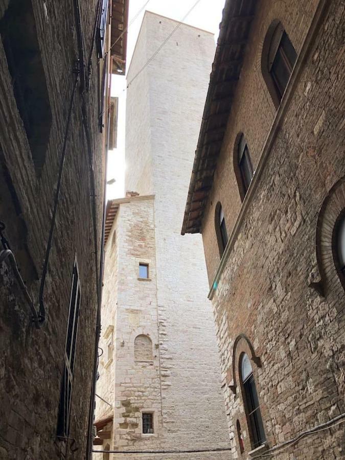 Sciri #2 * Perugia